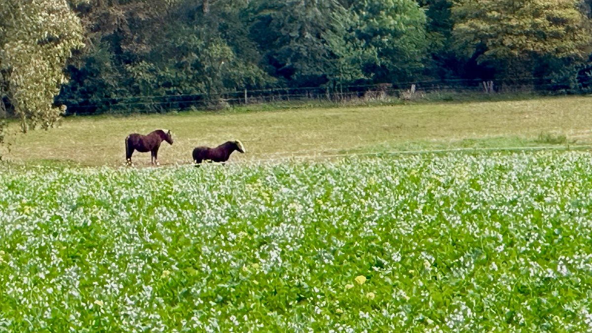 KatjaRbkeOhlmey's tweet photo. Spätestens jetzt weiss ich woher der Wind kommt🤣 
#liebergruss #gutenmorgen #naturelove #ploppppp  #natureisgreat #fürmehrfreundlichkeitundglück https://t.co/P3nJ9Tvkhx