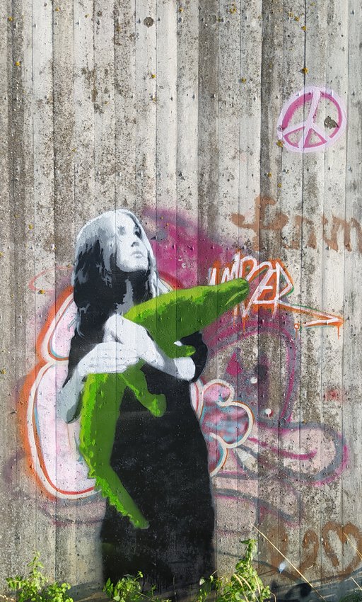 GREEN SOFT TOY-PEACE /  Oldenburg / Germany, August 2023