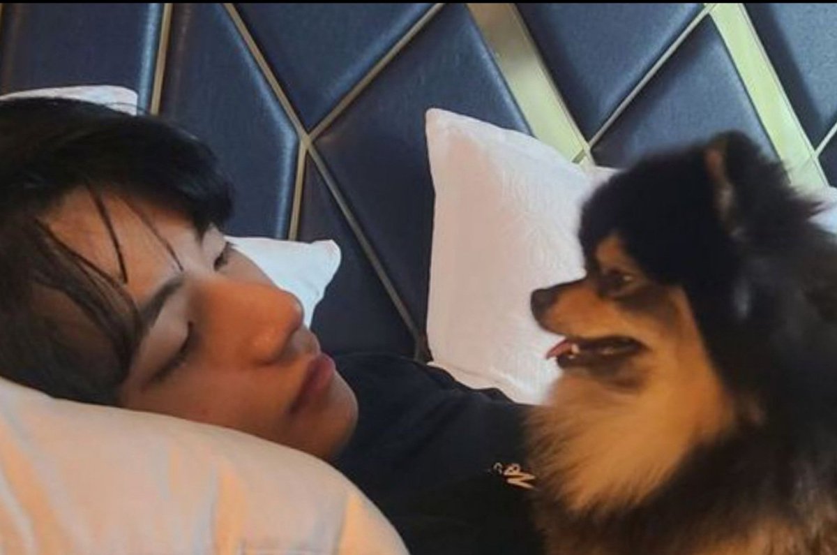아미들 잘자요🙋‍♂️🐕 모두 사랑해요