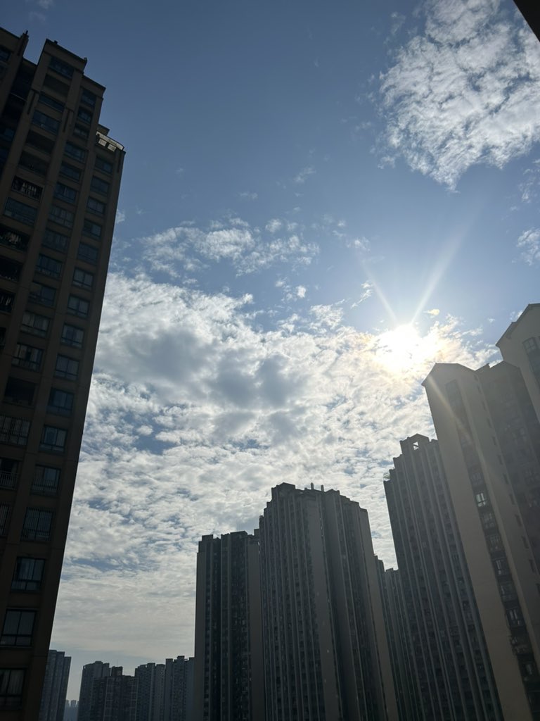 Masako_01's tweet photo. いい天気☀️ https://t.co/jcrbWIi4pt