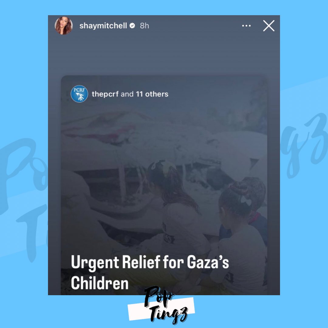 PopTingz's tweet photo. Shay Mitchell supports Palestine in new Instagram post. https://t.co/U3PSJdtGGY