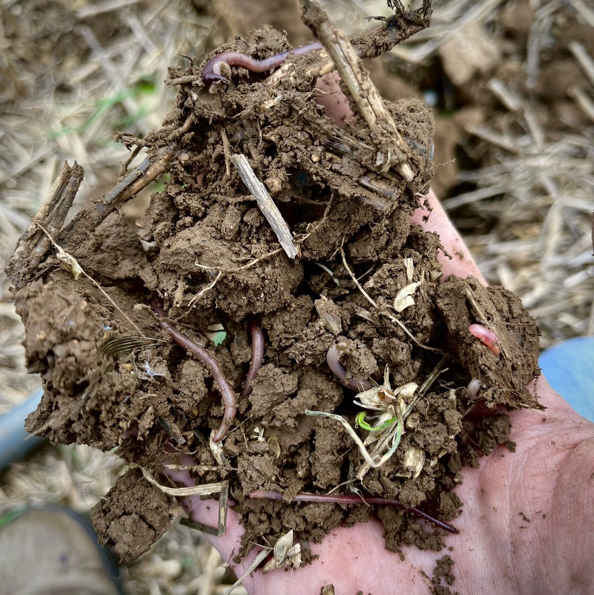 Alastair Trickett tweet media