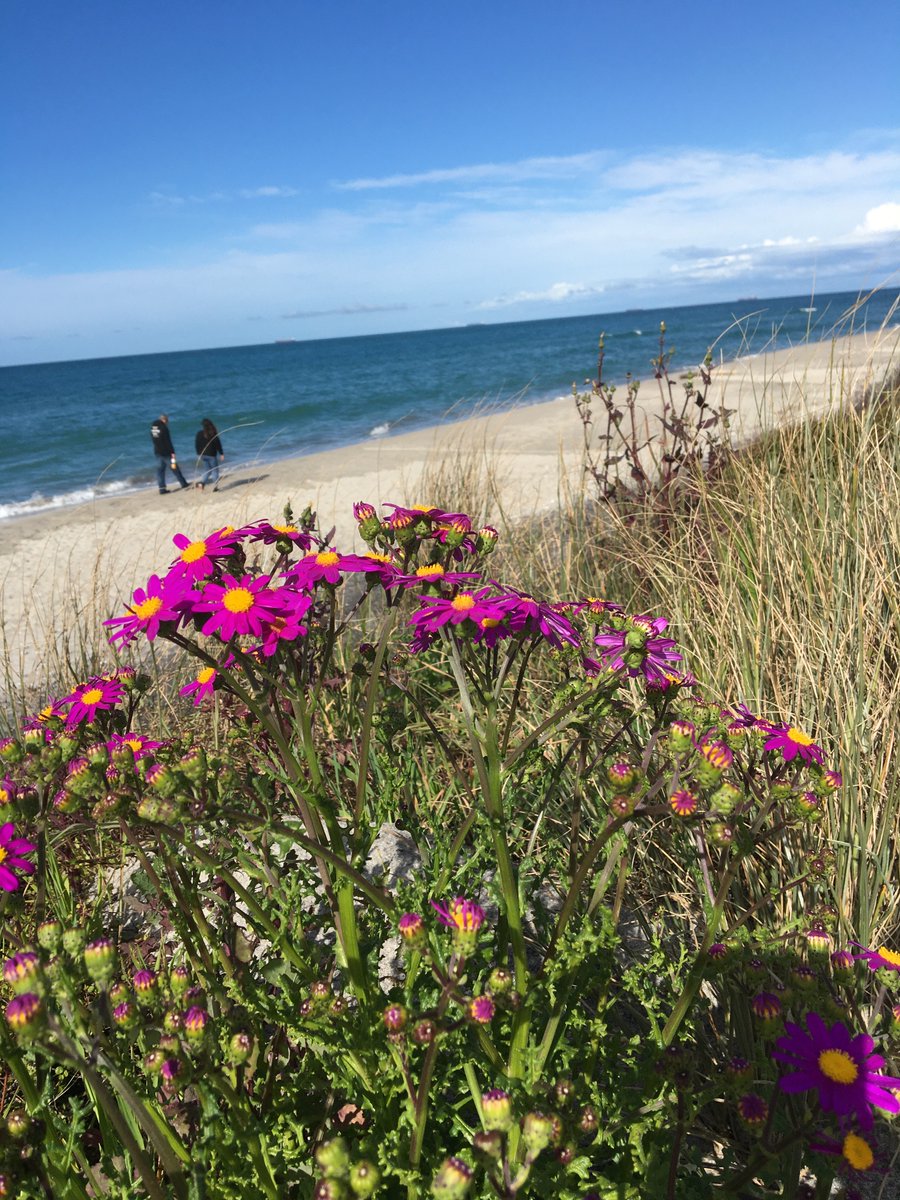BecFalconer's tweet photo. I've loved spending the past couple of weeks with my hubby in the Coromandel & Northland as his biz, ChargedAs, sets up Volty Powerbank stations. You can read more about the nationwide expansion & his #SupportLocalNZ program here: https://t.co/CxDnGNabcy https://t.co/ZzNJobYCc5
