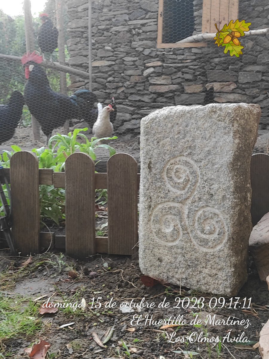 Guardabosque69's tweet photo. Acabo de colocar el trisquel recién tallado junto al gallinero. Es parte característica esencial del arte #celta de la cultura de La Tène de la Edad de Hierro. Se incluye en el escudo de la #IsladeMan, y con una cara central de Medusa en el de la isla italiana de #Sicilia. https://t.co/R7ZKWeCjUZ
