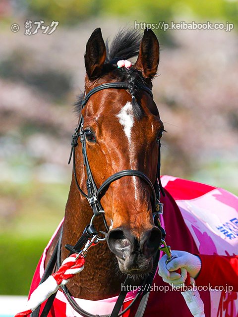 競馬ブックネットSHOP on X