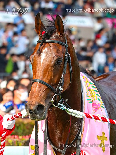 秋華賞　リバティアイランド 秋華賞】強い！リバティアイランドが牝馬3冠！！史上7頭目の快挙