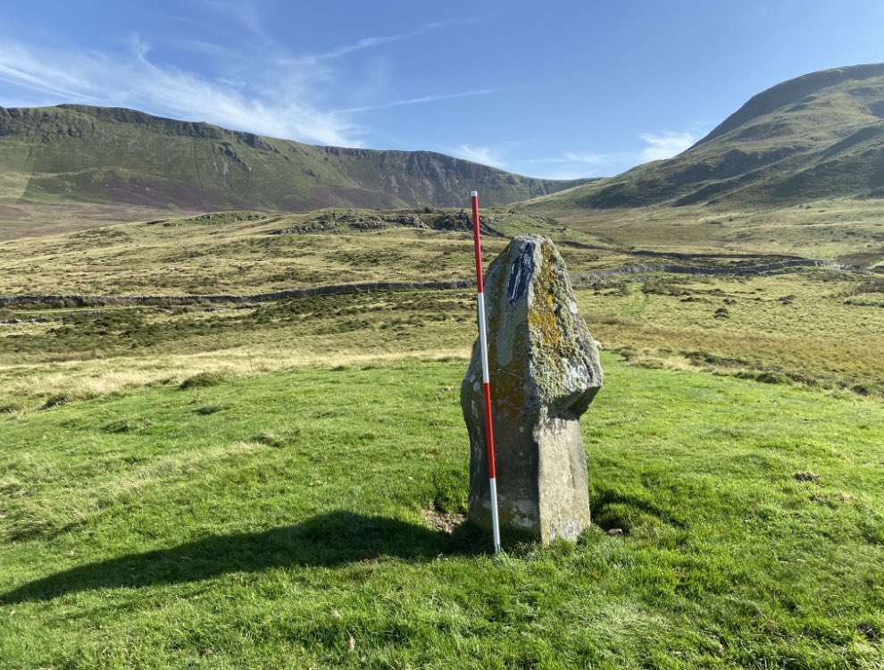 Carreg y Planwydd Helyg #Meirionnydd - more statue than stone(?)