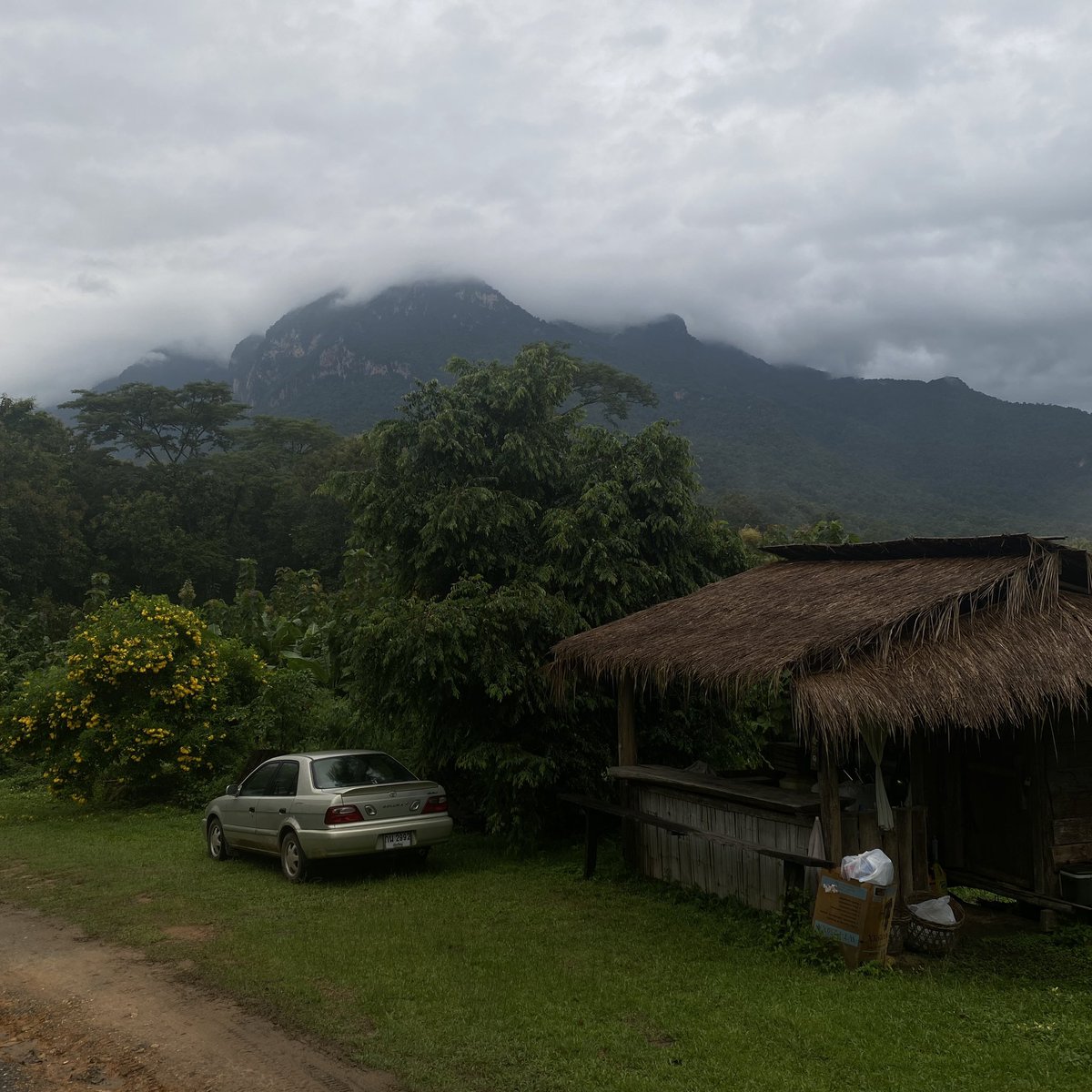 formepleasure's tweet photo. ป่า โป่ง ดอย , ⛰️ เชียงดาว
-
ทีนี้เป็นที่พักของวิสาหกิจชุมชนราคาเลยไม่แพง เงียบ สงบ เหมือนได้มาชาร์จแบตชีวิต เขามีกิจกรรมเดินป่ากับแช่น้ำร้อนด้วยนะ ชอบ vibe ตอนตื่นเช้ามาแล้วเห็นดอยหลวง รักเชียงดาว🥹 
-
#รีวิวเชียงใหม่ 
#reviewchiangmai 
#iwillwalkUout https://t.co/uZ5K6V045F