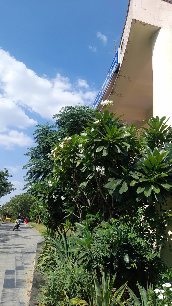whereischaii's tweet photo. Good Afternoon 
Active n Tweeting after almost 3months😵🥴 https://t.co/byt5a4eS69