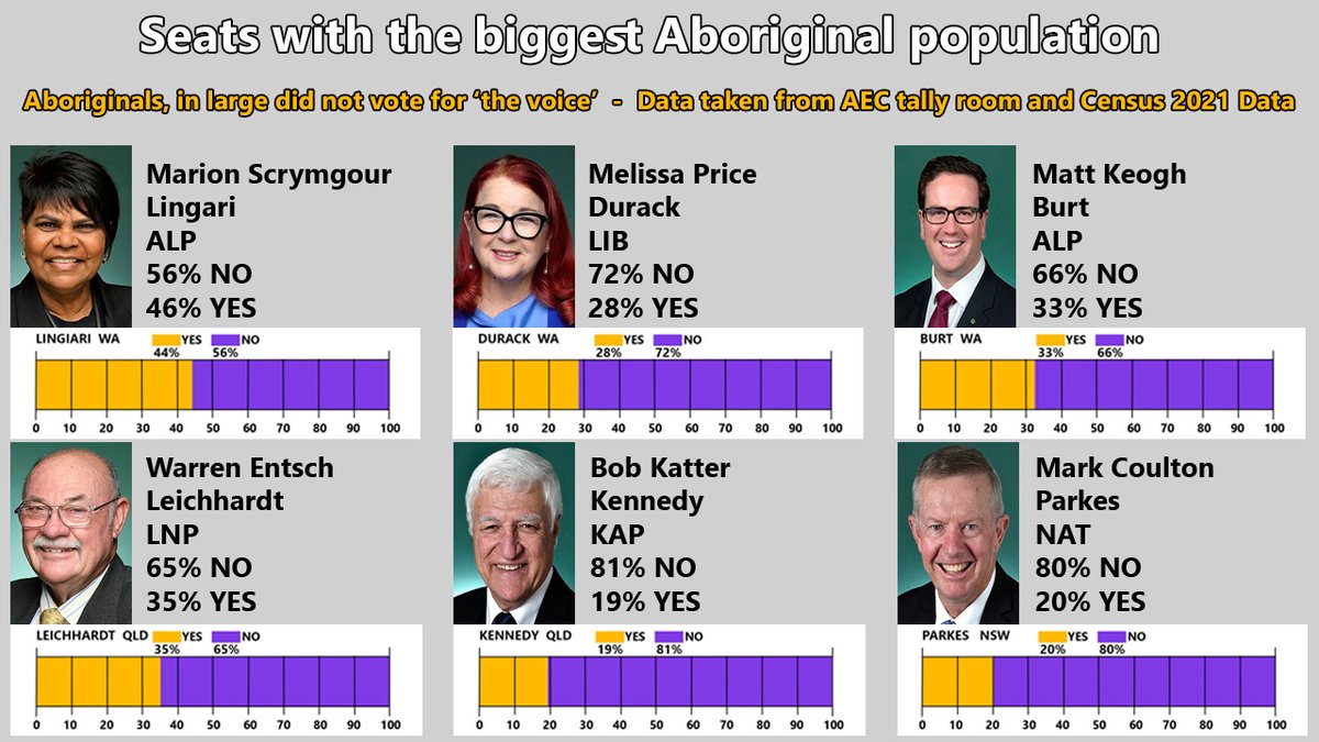 Aboriginals in large did not vote for 'the voice' in the referendum this year! Be sure to remember this when virtue signalling Yes campaigners try to lie and tell you, that by voting no, you are hurting aboriginals! #VoiceToParliament #VoiceReferendum @MagdaSzubanski