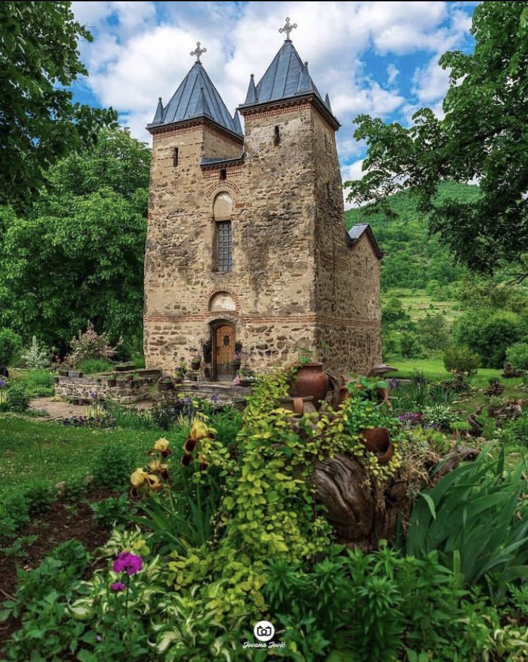 Serbian Life tweet media