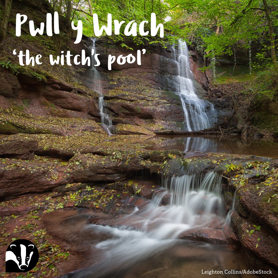 WildlifeTrustSWWales 🦡🐬 (@wtsww) on Twitter photo To celebrate #ShwmaeSumae Day, we're exploring the Welsh names of our nature reserves!
💧Pwll y Wrach means the witch's pool. It's believed witches were ducked in the plunge pool below the waterfall.
#Cymraeg #Welsh #WelshWildlife #Wales To celebrate #ShwmaeSumae Day, we're exploring the Welsh names of our nature reserves!
💧Pwll y Wrach means the witch's pool. It's believed witches were ducked in the plunge pool below the waterfall.
#Cymraeg #Welsh #WelshWildlife #Wales