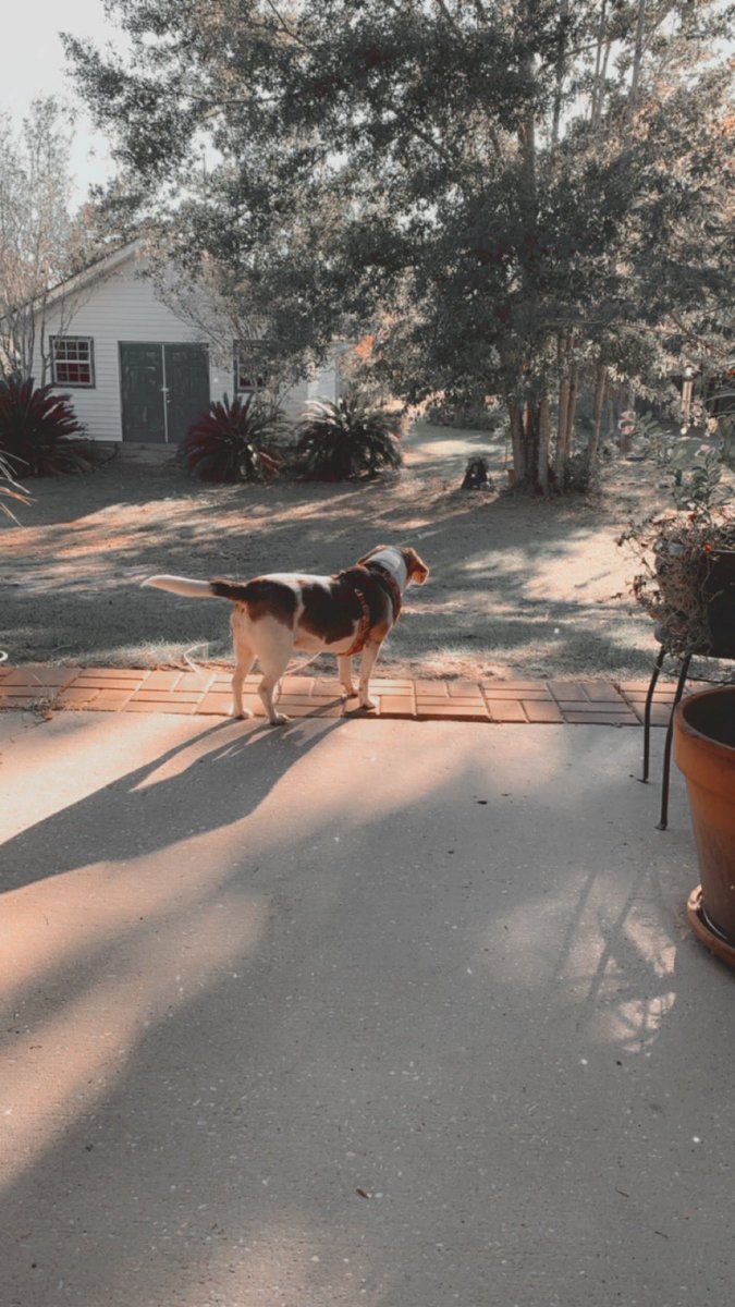 It’s so gorgeous outside this morning ☀️