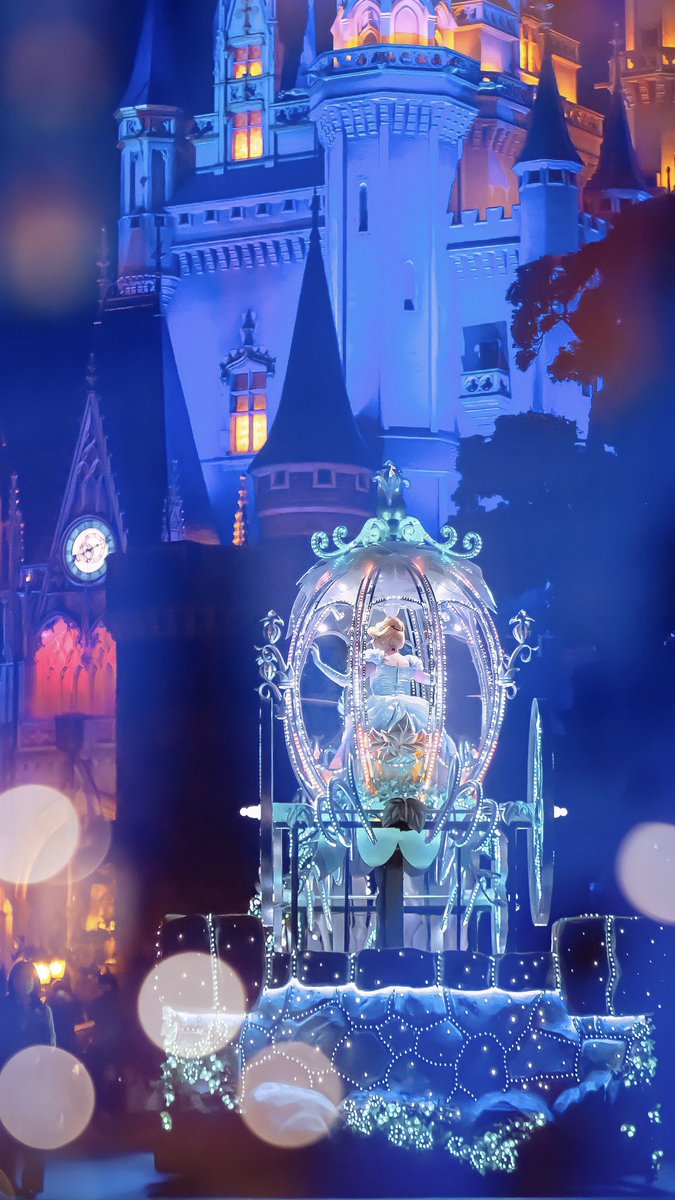 東京ディズニーリゾート　写真　まとめ売り 雨.雨.雨.☔️ 広角の世界📷 . . .SONYα7RⅣ/ .いいね、フォロー