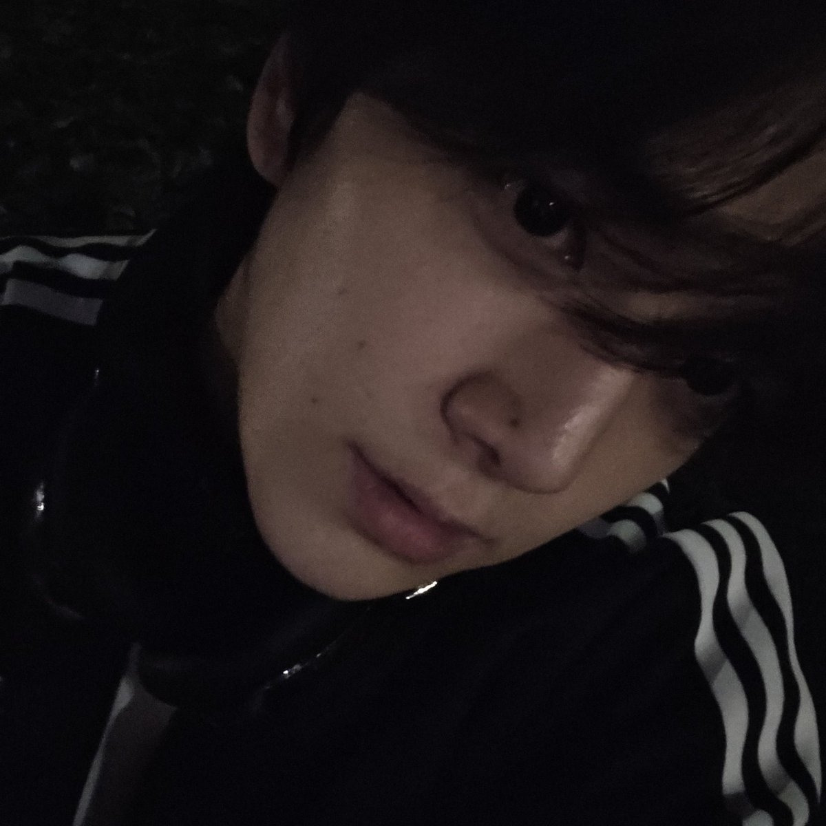묵돌이 tweet media