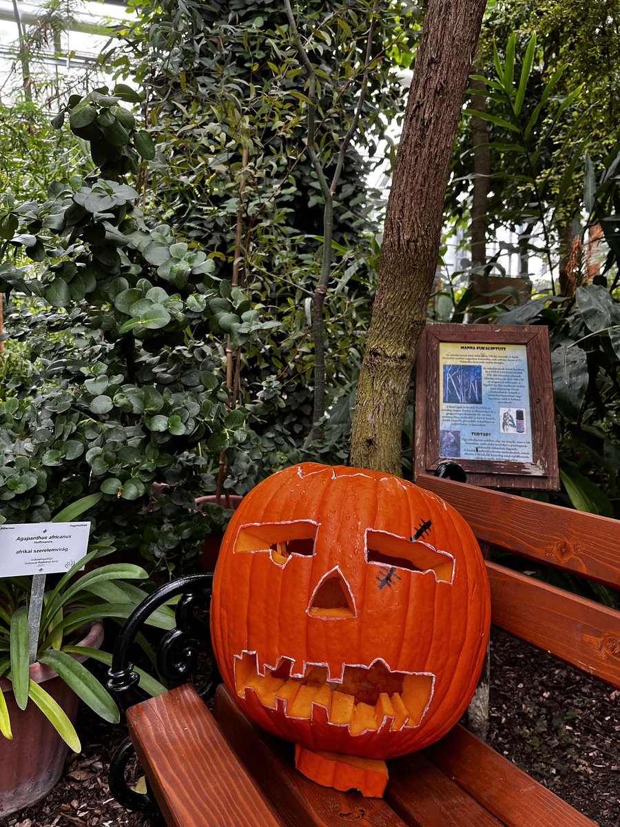 PrimeSithole's tweet photo. Pumpkin Season with Cyril R. https://t.co/si3kq84uQg