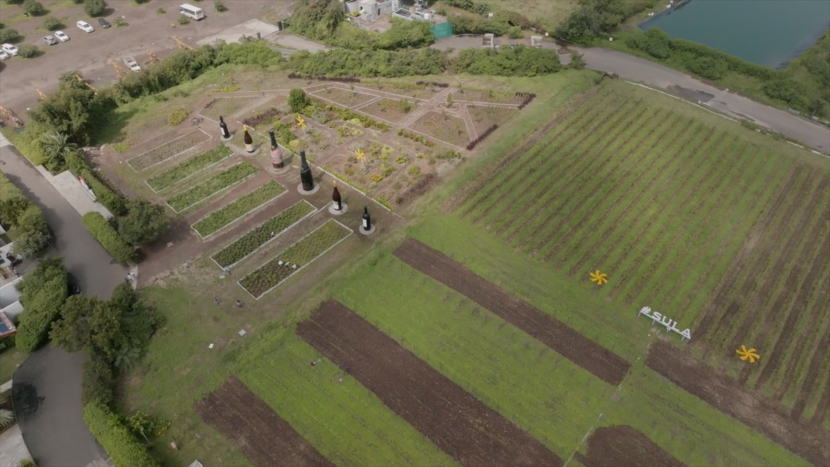 BorVilag's tweet photo. A wine wonderland? It sounds just as exciting as tempting whether one is a wine connoisseur or a novice exploring the world of wine. @sula_vineyards founder &amp; CEO Rajeev Samant on Sula, the Wine Wonderland.
https://t.co/mOZVw3sOCT
#indianwine #winetravel #instatravel #nashik https://t.co/ohiN8tukLM