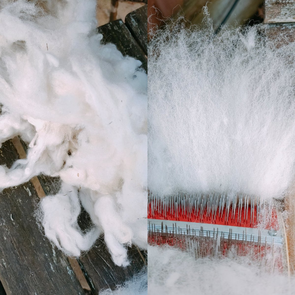 BridieTonge's tweet image. Preparing clean fleece for wet and needle felting projects. #localfleece #usefleeces #preciouscommodity