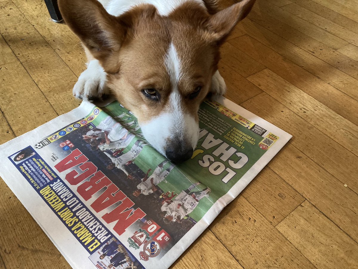 #GeorgeliebtPrint - danke, lieber Jürgen, für „Marca“ aus Spanien ⁦<a href="/JuergenLoschel1/">Juergen Loschelder</a>⁩