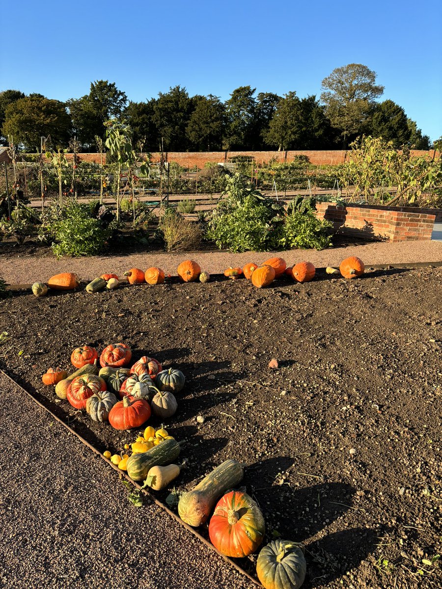 Croome_Gardens tweet picture