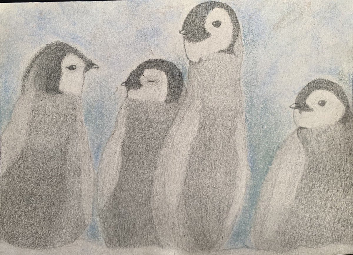 「コウテイペンギンの幼稚園」
「Emperor penguin kindergarten」

#コウテイペンギン
#エンペラーペンギン
#ペンギンのヒナ
#色鉛筆画
#障害者アート
#Penguin
#Babypenguin
#Emperorpenguin 
#handicapped
#Coloredpencildrawing