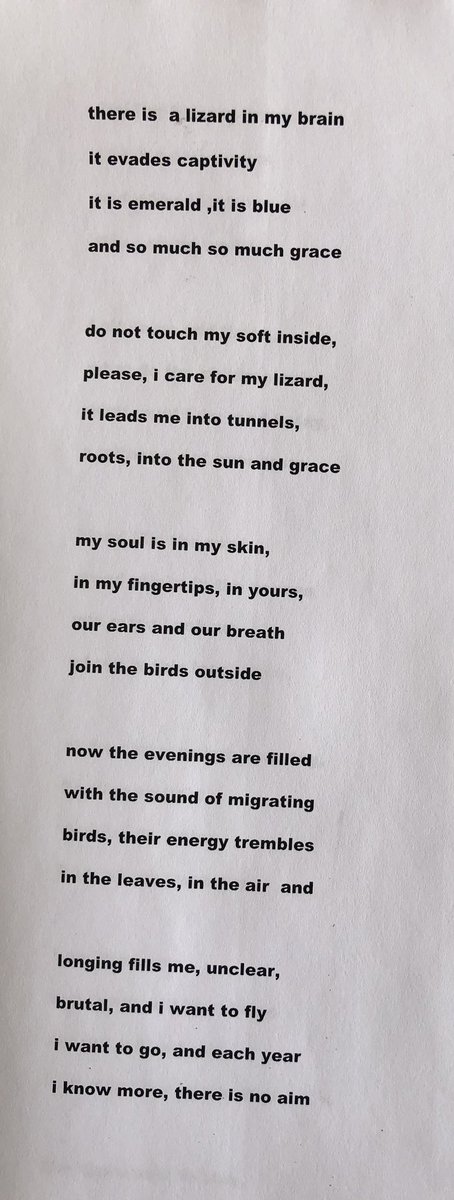 manonafence's tweet photo. There is a lizard in my brain (poem, my) https://t.co/4JO89CJ7PA