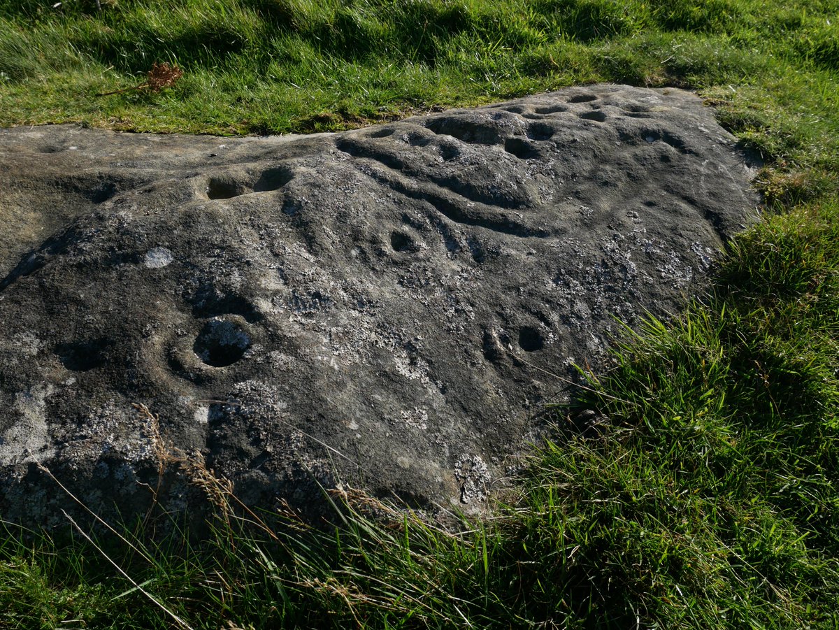 ForestCollectiv's tweet photo. #StandingStoneSunday with the incredible cup marks at Lordenshaws in the sunshine yesterday
 My heart could sing https://t.co/oTo3CRx3Uk