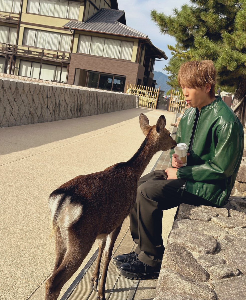 広島公演終了⛩️
インスタに載せたけど、初の厳島神社に行ったり観光も楽しんじゃいました！LIVEもめちゃくちゃ盛り上がって最高だったねー😊揚げもみじ美味しすぎでしょ🍁中身カスタードだけどハマった！あとね、シカがすごい近くに来るのよ。可愛いけどちょっとこっわ🦌