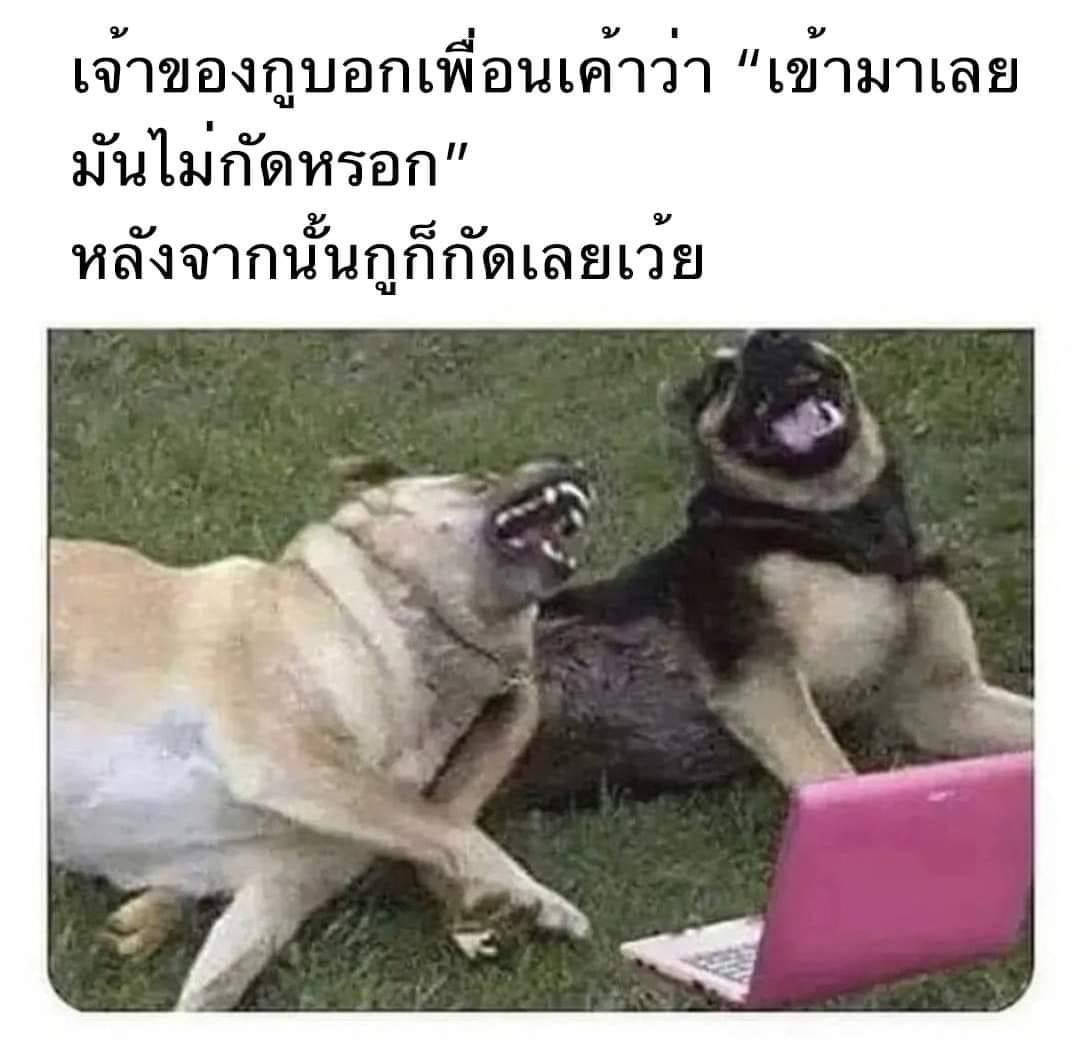 -a (@vocaburaly) on Twitter photo 