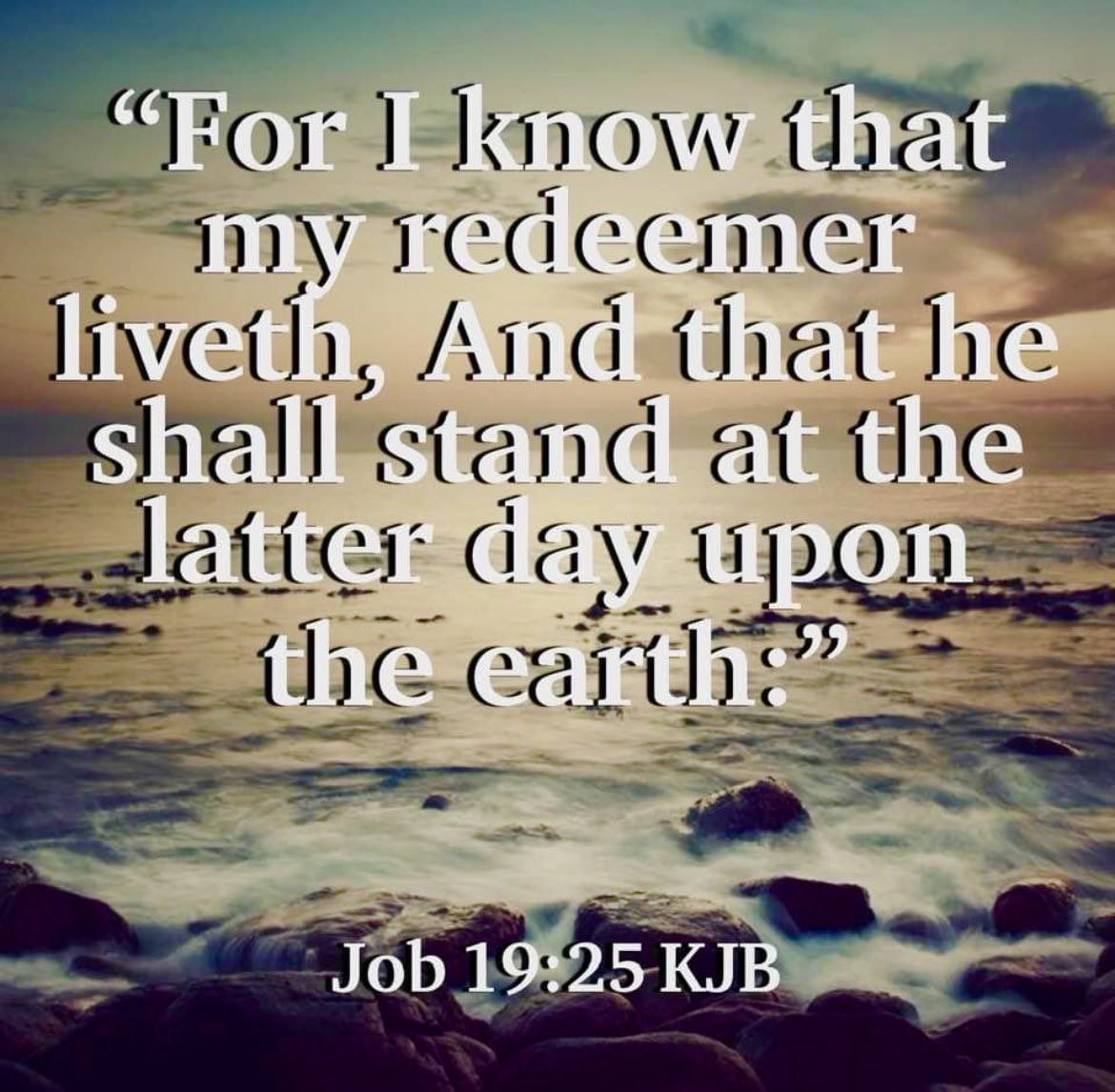 NowTheEndBegins's tweet photo. Job knew that, do you? #JesusIsComingSoon https://t.co/QgTmlz7F8H