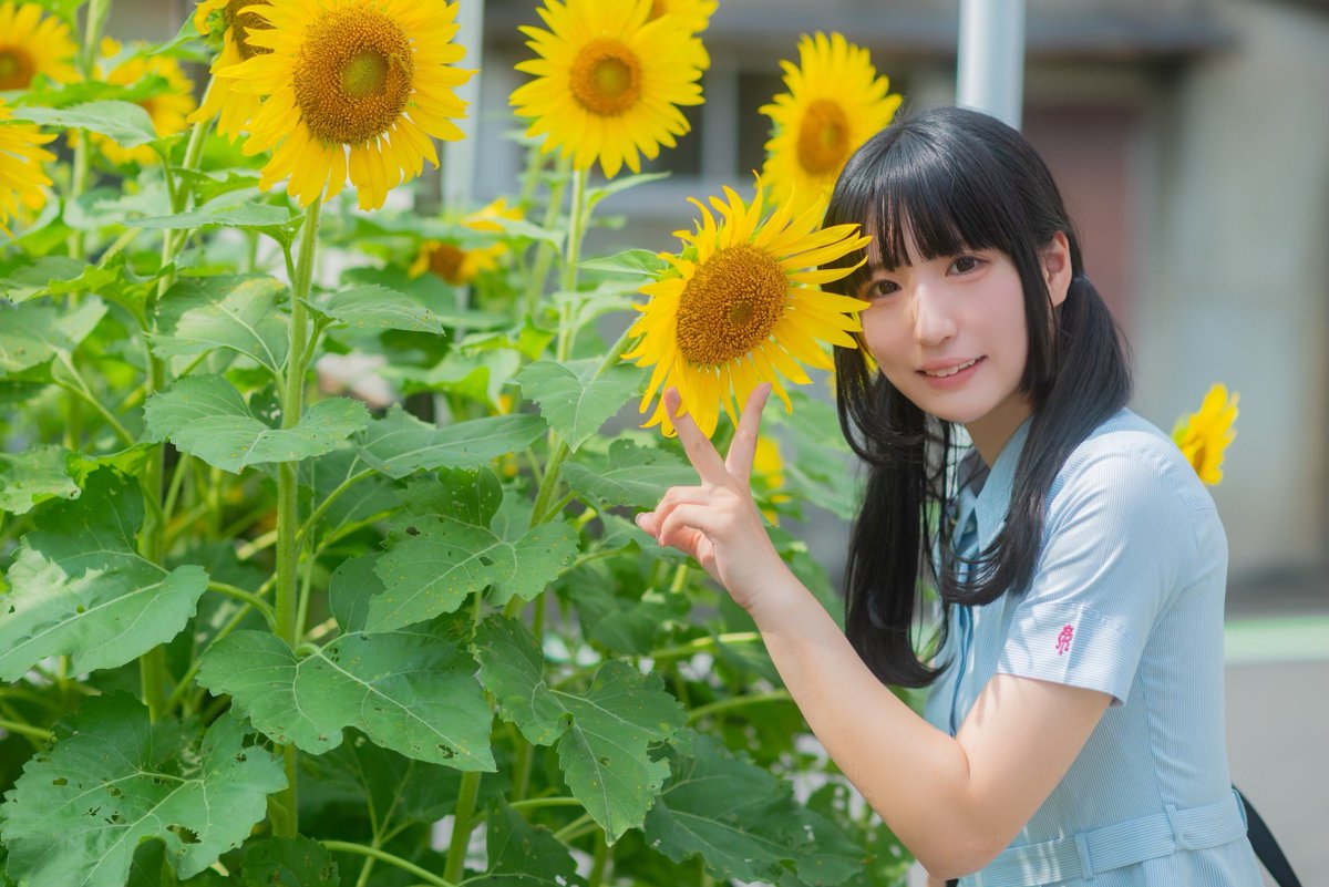 toriten_com's tweet photo. ▷Portrait

.
.
「　また来年会おうね　」
.
.
.
.
📷:(@bitabita4 ) https://t.co/bhP9aMGWzN