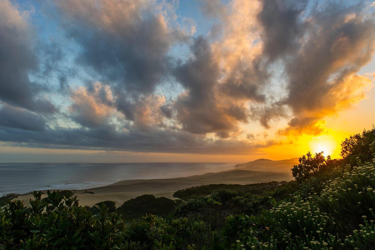 addotourism's tweet photo. Coastline? Mountains? Veld or plains? Where will the racers of @ARWorldSeries Champs be passing through #AmazingAddo during @expafrica? The race starts in 3 days @EC_Tourism Live tracking via: https://t.co/Xi7SKnNzcq
#Addo #ExpAfrica #ARWS23 https://t.co/CgLE3dKNwg