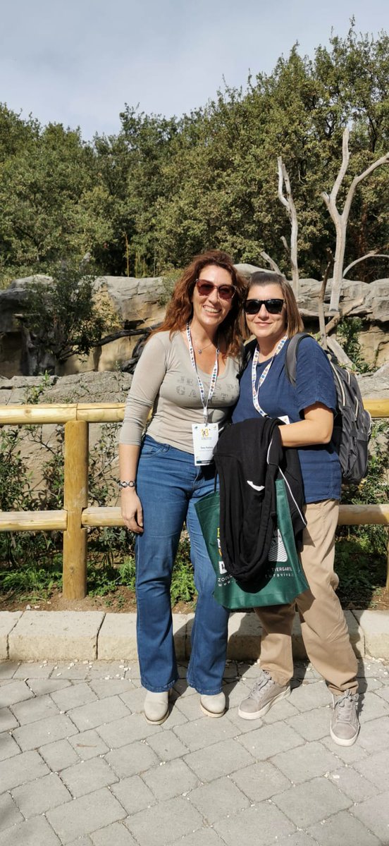 SaraFirenze's tweet photo. Second day of captivating talks and networking at the 13th Italian Conference of Research in Zoological Parks. Presenting the findings of our @MSCActions project on gentle lemurs 🦧 @ParcoNaturaViva #convegnoricerca13 @ABWCUoW https://t.co/NxcnPfSw5X
