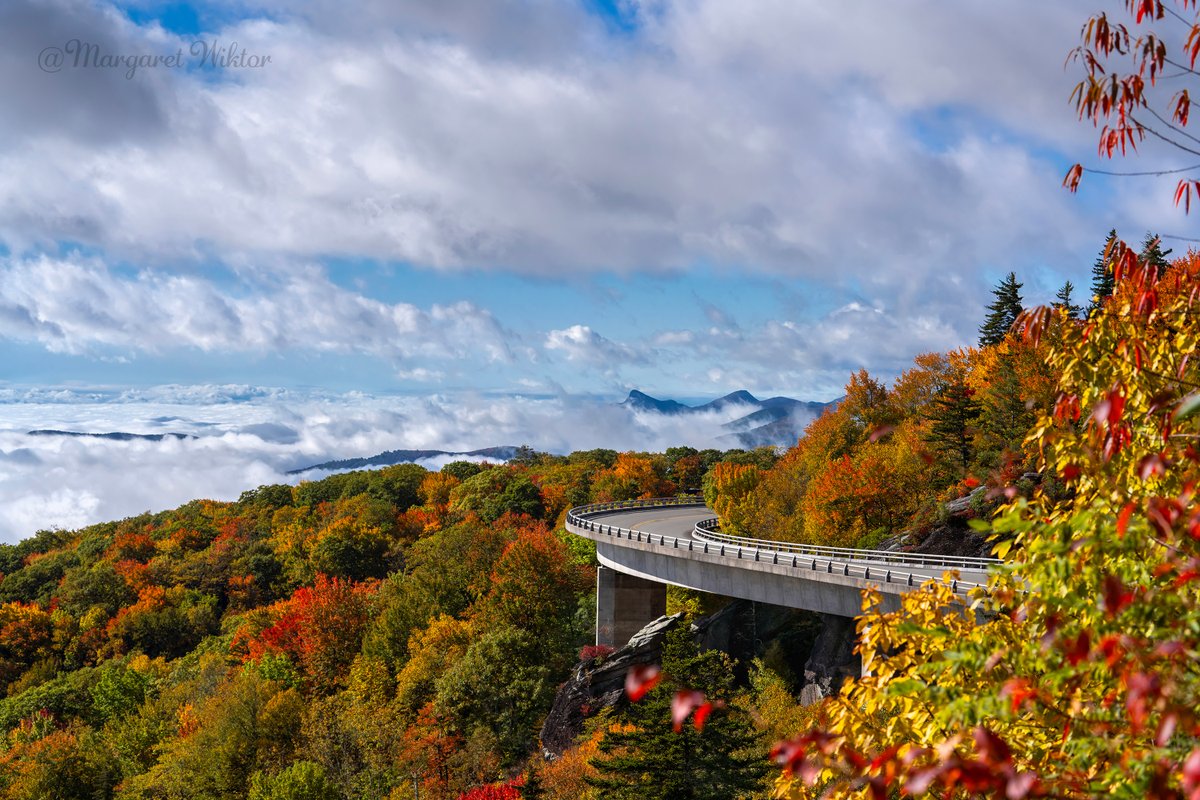 Blue Ridge Mountains, a perfect mix of cloudy charm and autumn hues
fineartamerica.com/featured/1-bea…    
#AutumnVibes  #nature  #pic #photooftheday #outdoorphotography  #explore #travel #photography #northcarolina #asheville #blueridgemountains #art #ashevillenc #AYearForArt #BuyIntoArt