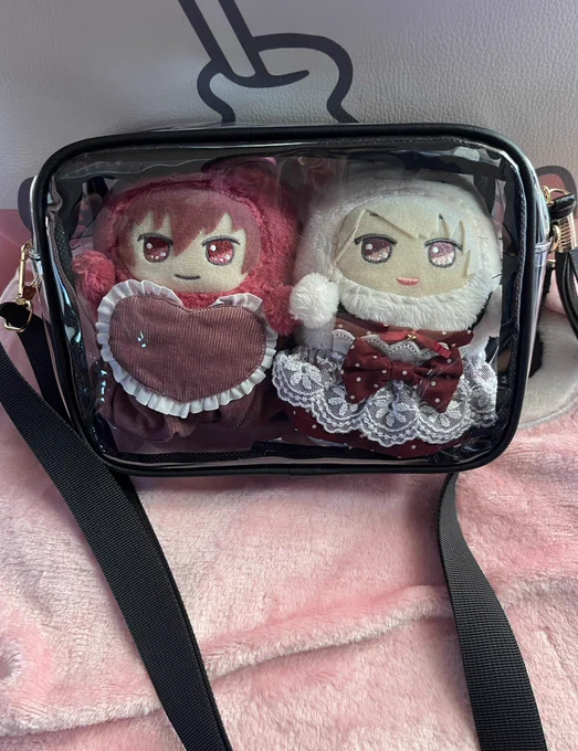 SHEINでモンぬい用のぬいバを買ったよ500円ぐらいだった 