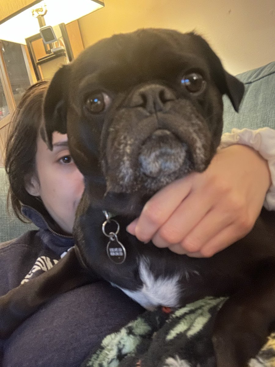 lilahnthro's tweet photo. Got surgery yesterday I am at home recovering with my pug but please for the love of god send me things to watch cuz I simply cannot move https://t.co/WKjB7EAMdo
