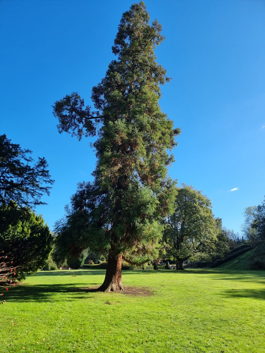 A sunny #weddingfair #TreeClub