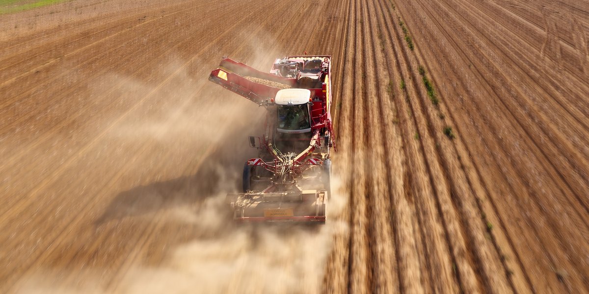 Arrachages Pommes de Terre avec <a href="/GRIMMEGroup/">GRIMME</a> Varitron 470
