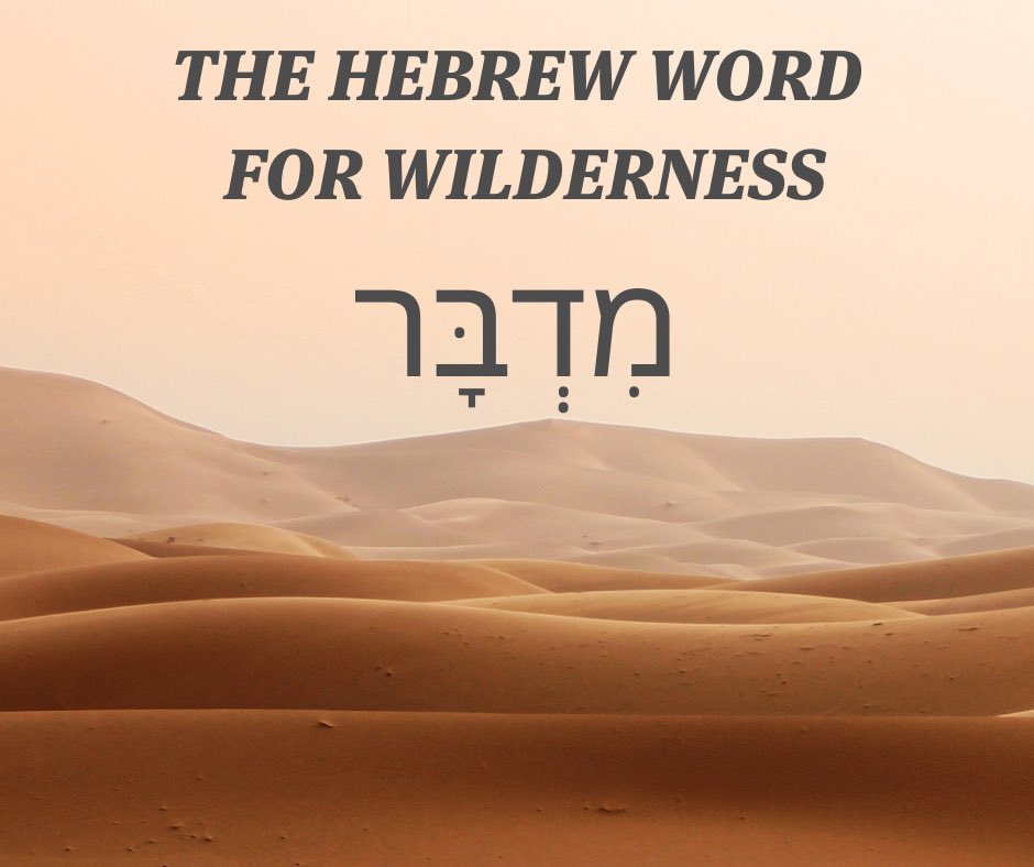 birdchadlouis's tweet photo. Our Life in the Wilderness

The Bible begins in a garden (Eden) and ends in a city (New Jerusalem). In between, there’s lots of time in that dry, desert territory known in Hebrew as the מִדְבָּר (midbar).

The midbar is usually translated as “wilderness” or “desert.” Israel spent 40 years wandering in this midbar. David was driven into the midbar by Saul. And Jesus spent 40 days being tempted in the midbar by the devil.

The Hebrew name of Numbers is Bamidbar, “in the wilderness,” taken from the opening sentence, “The LORD spoke to Moses in the wilderness [bamidbar] of Sinai…”

We’ve talked before about the theological nature of the biblical landscape. Rivers, deserts, mountains, seas, valleys, and fields are (what we might call) “Geographical Dogmatics.” Israel even puts sin on the map at times, such as Massah (“Test”) and Meribah (“Quarrel”) in Exodus 17:7. At other times, they put divine grace on the map, such as at Gilgal (“Rolling”), where the Lord “rolled away” the reproach of Egypt from them via circumcision (Joshua 5:9). 

Sometimes a map is just as helpful, if not more helpful, than a commentary when reading the Scriptures.

The midbar/wilderness is iconic of a place of deprivation, suffering, want, and need. It is the anti-Eden, the godforsaken place, where the children of God undergo testing in life. In the wilderness, the Lord humbled Israel, testing them, letting them hunger and feeding them with manna, that they might know “that man does not live by bread alone, but man lives by every word that comes from the mouth of the LORD” (Deut. 8:2-3).

This is why Jesus, as Israel-reduced-to-one-man, endured his temptation in the wilderness, where he too hungered and quoted to the devil this verse from Deuteronomy.

And the wilderness is where we, with painful frequency, sojourn in this life. When surrounding us are the hot, desert sands of anxiety and fear. Where we see no green grass of joy but lots of sharp rocks of grief. Where day after day, we spy no oasis of hope but only a horizon of despair. Here, too, is the place we enter when we rebel against God and think we’ll create our own utopias out of the raw materials of greed or lust or power, only to find our souls are full of sand.

That, too, is one reason that Jesus was led by the Spirit into the wilderness. He knows the place where you are. He’s been there, hungry and thirsty and attacked. And he is there now, with you, in whatever wilderness you might find yourself. To bring you a cup of the sweet water of hope in the drought of your despair. To lead you out of the heat of fear and into the shade of peace. And gently but firmly to guide you away from your failed utopias of sin and into the paths of forgiveness and righteousness.

Jesus is the God of the garden, the city, and the wilderness. Wherever you are, he is close at hand, ready and eager to heal, love, forgive, and sustain you.