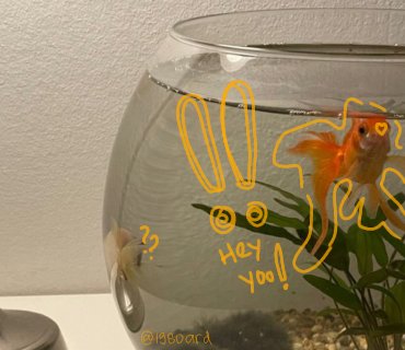 1980ard's tweet image. 🫧 私のショップへようこそ