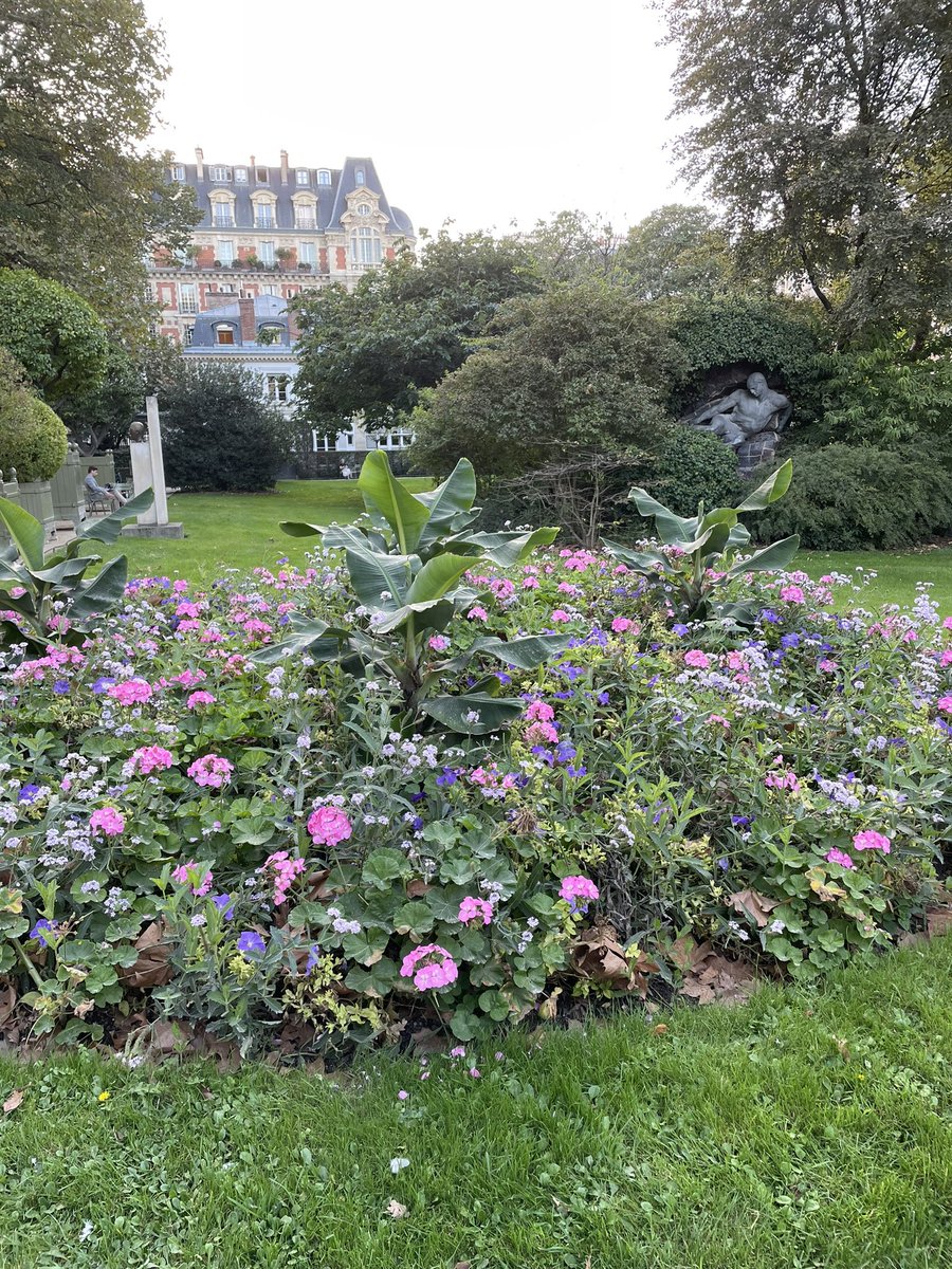 Good morning Flower Friends am moving to the other place of blue skies & fresh air. (Same handle, do say hi) How good it would be to shift #FlowerReport there! Until then I’ll meet you & @alyssaharad here on Sundays. Today, a corner of my beloved Luxembourg Gardens