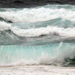 Photo by Port Mac Lifeguards (@LifeguardsPMQ)
