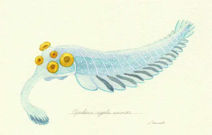 10月15日は #化石の日 ということで今年描いた古生物たち。化石から生きていた姿を再現する試みを"復元"といいます。もちろんかつての姿がこの通りだったというわけではなくてあくまで「こうだったかも?」くらいの一例。特に色は基本化石では分からないので現代の生物をヒントに描いてます #paleoart