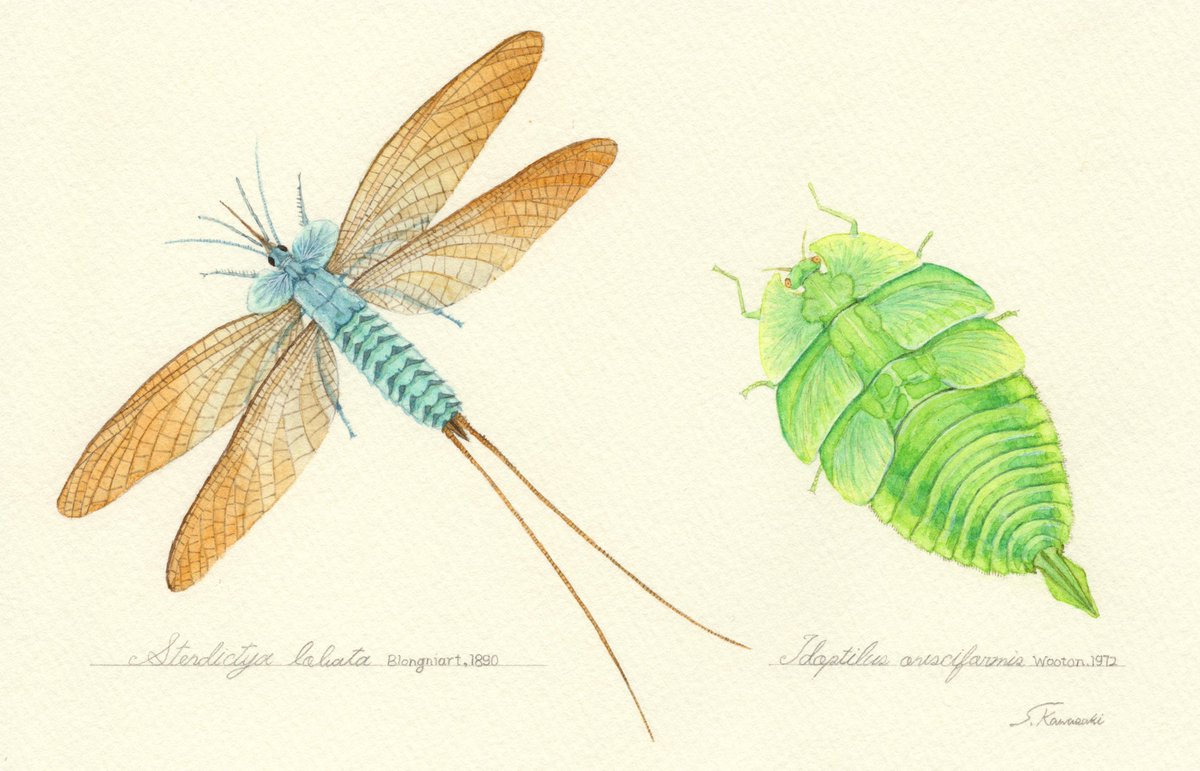 「10月15日は #化石の日 ということで今年描いた古生物たち。化石から生きていた」|かわさきしゅんいちのイラスト