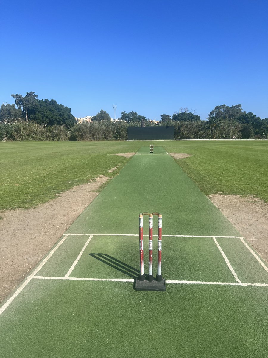 Octopus CC tweet media