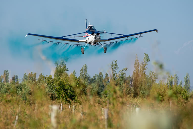 "Comienza el operativo de control de la polilla de la vid" vía <a href="/esteonline/">Diario Este Online</a> 
Más info en acortar.link/Wn48hK