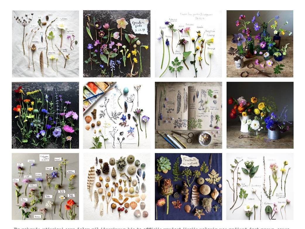 Emma Mitchell 💙 tweet media