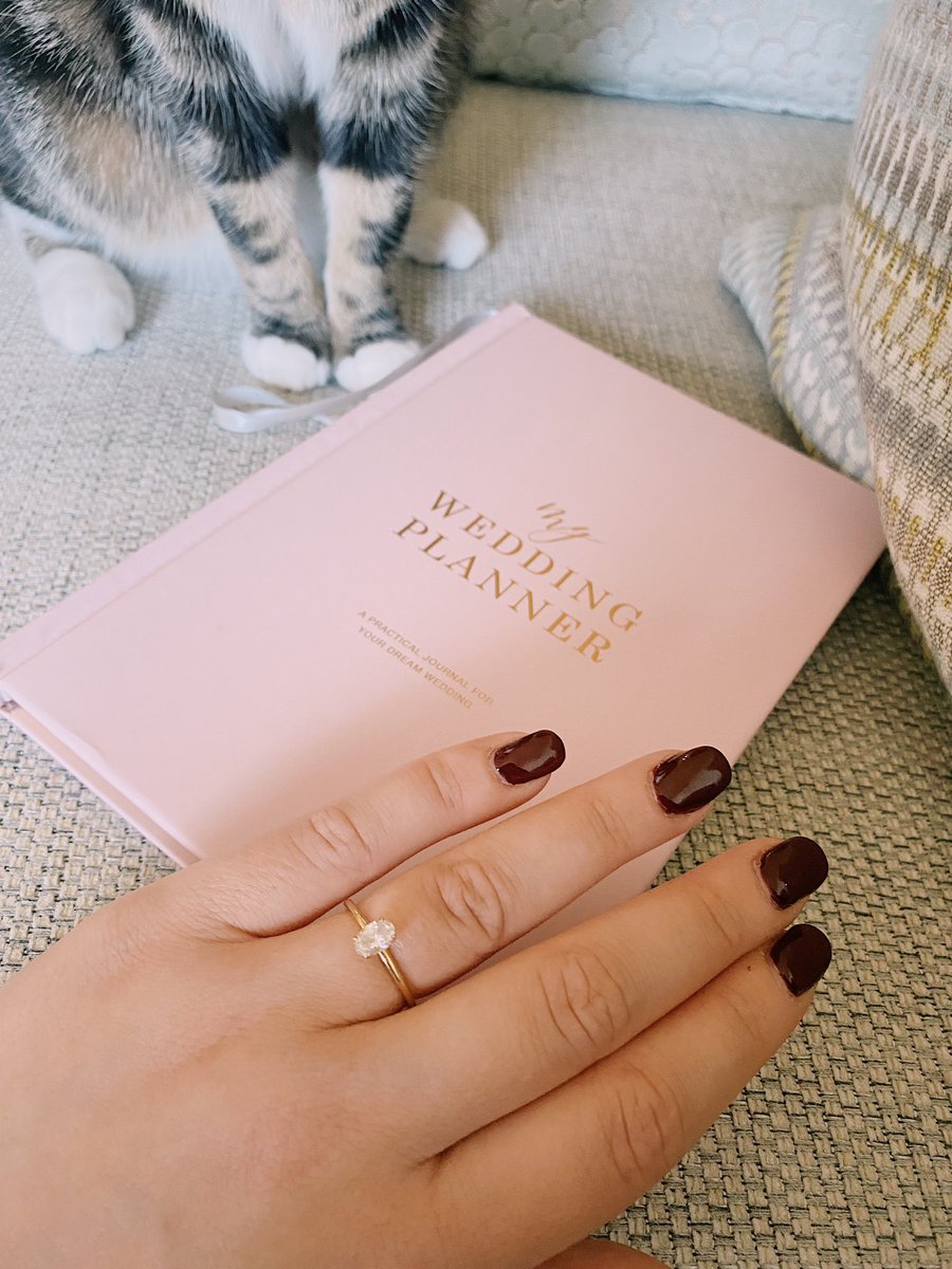 Petals Of Perfection tweet media