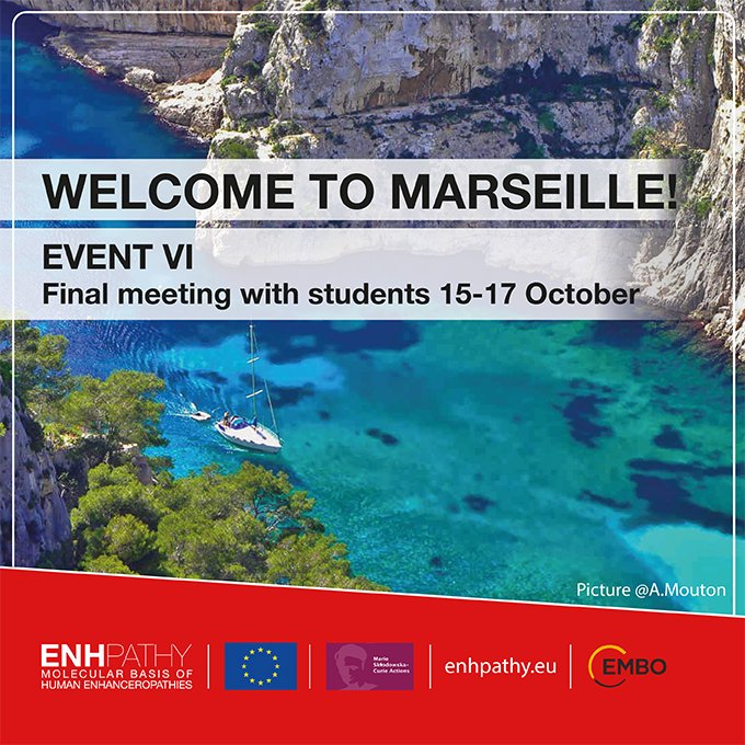 Two training sessions on communication, led by @AlberichJorda , kick off our final event this afternoon. 
See our program
EVENT VI ▶️bit.ly/3rPZQ59
Learn more about <a href="/enhpathy_H2020/">ENHPATHY</a> ▶️ enhpathy.eu 
<a href="/MSCActions/">Marie Skłodowska-Curie Actions</a>