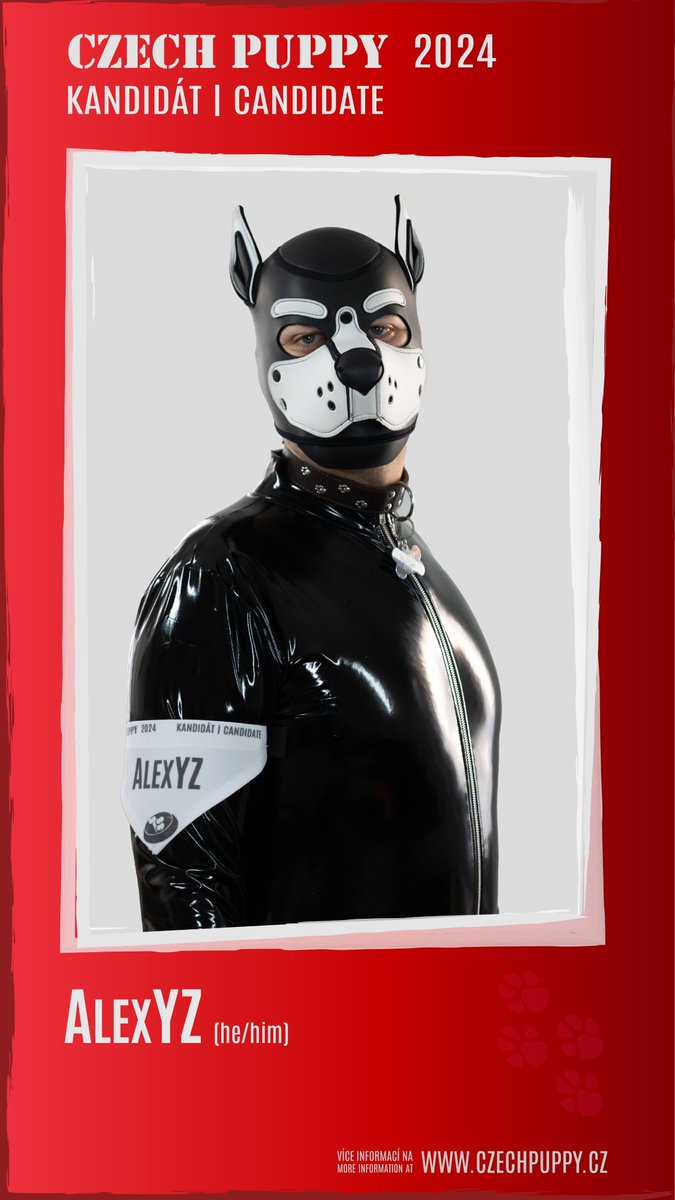 czechpuppyteam's tweet photo. And the final candidate is AlexYZ

"Hi, I'm Alex and I'm from Ostrava. I am participating in the election, because I realize how important the right presentation of pupplay is not only in the fetish community but also outside it. My goal is..."

More info: https://t.co/wbbtJjIccp https://t.co/d9GS6rAn8K